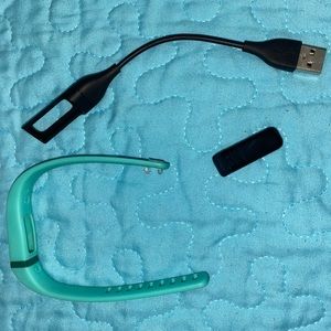 Fitbit flex